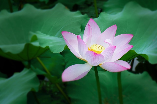 DMT09's tweet photo. 景书然，你一直都在，现在回头看，你那时候在我旁边，你在真的不一样。 https://t.co/YdUYAHLUvs