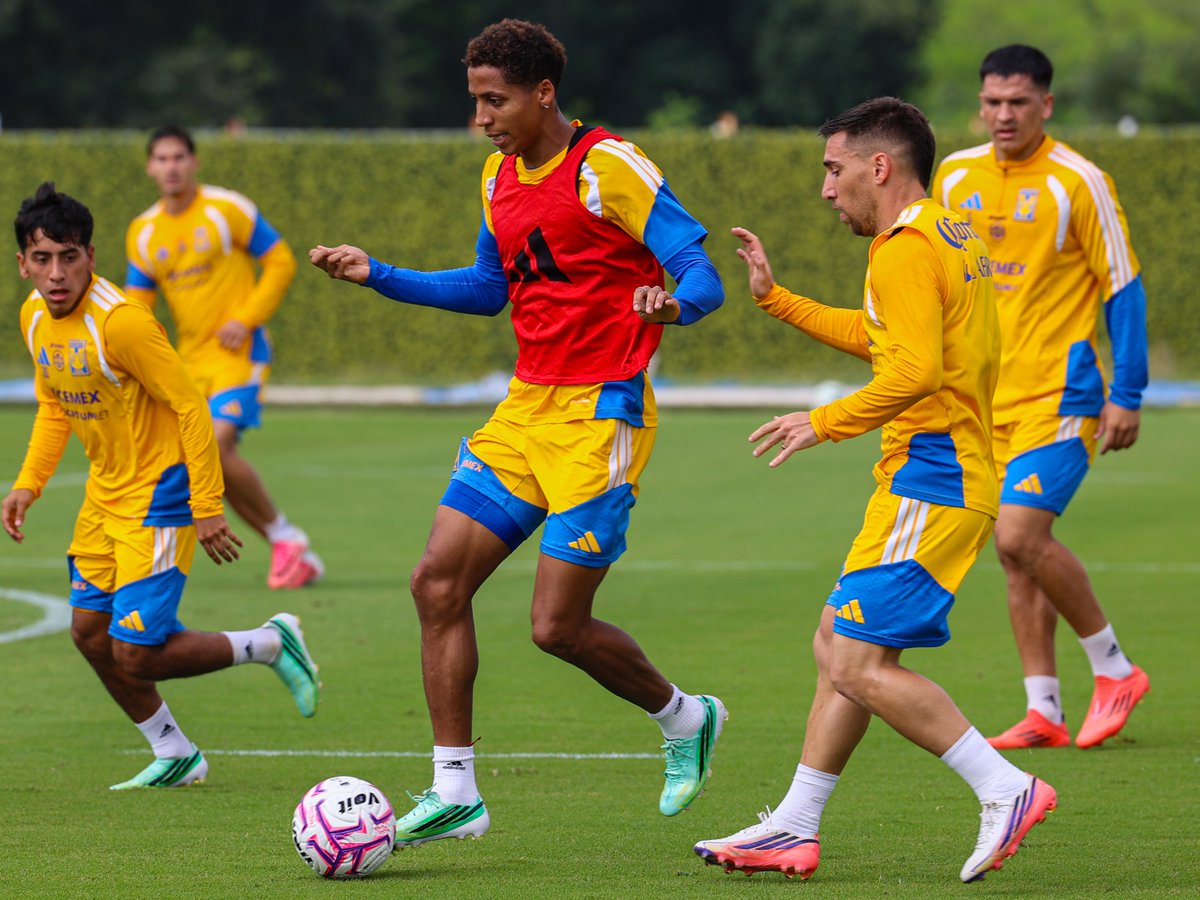 TigresOficial's tweet photo. 🔥😤 ¡Tiempo de futbol que este sábado hay partido!

Vamos Tigres, carajo! 👊🏼 https://t.co/7aSc0SVfqW
