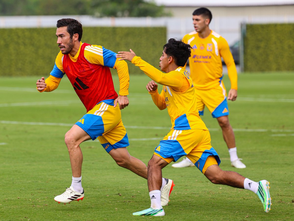 TigresOficial's tweet photo. 🔥😤 ¡Tiempo de futbol que este sábado hay partido!

Vamos Tigres, carajo! 👊🏼 https://t.co/7aSc0SVfqW