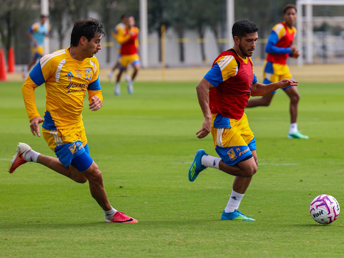 TigresOficial's tweet photo. 🔥😤 ¡Tiempo de futbol que este sábado hay partido!

Vamos Tigres, carajo! 👊🏼 https://t.co/7aSc0SVfqW