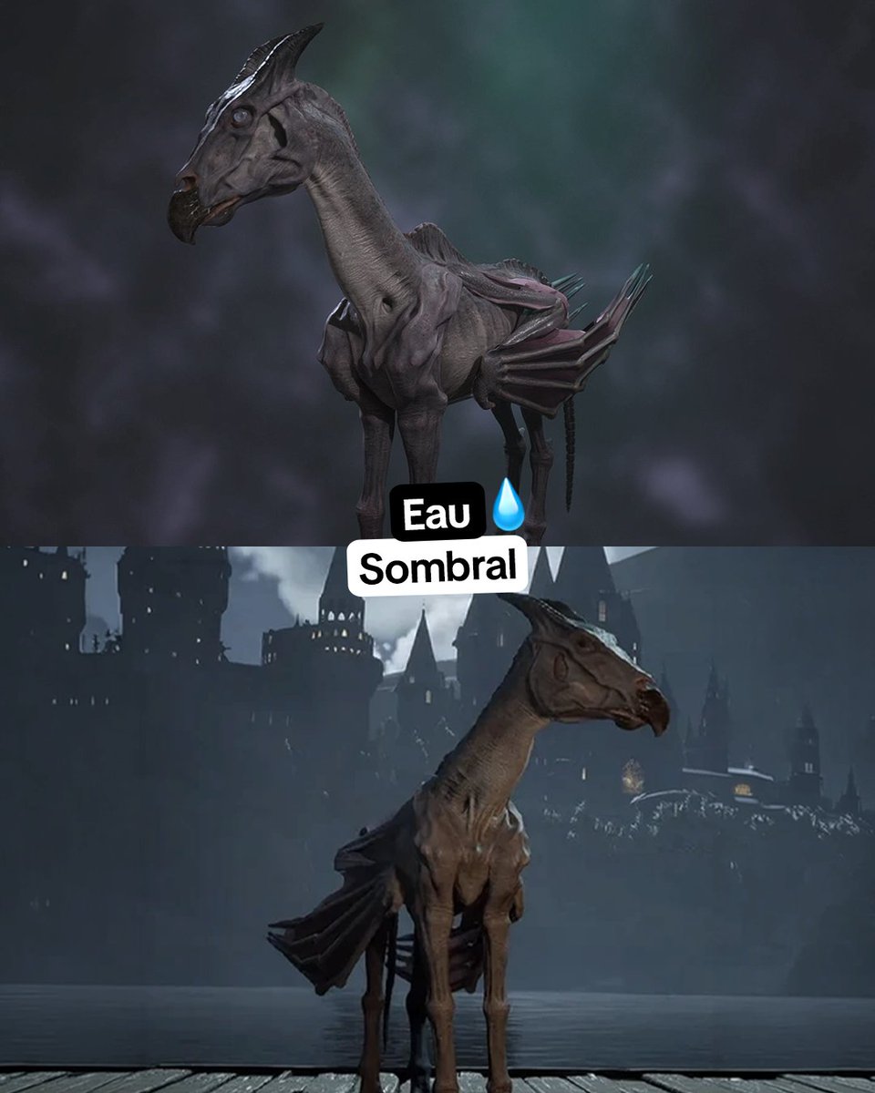 wbgamesfr tweet picture