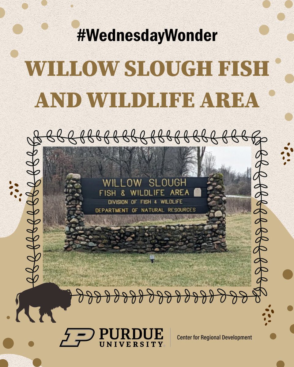 pcrd's tweet photo. #Wednesdaywonder: Tucked away in the western part of the state, the scenic Willow Slough Fish &amp; Wildlife Area is a true natural gem in Indiana. Spanning thousands of acres of marshes, lakes, and open water, it’s a premier destination.

Sources: https://t.co/5Wj04j7Plo https://t.co/Z0gzl5h6a8