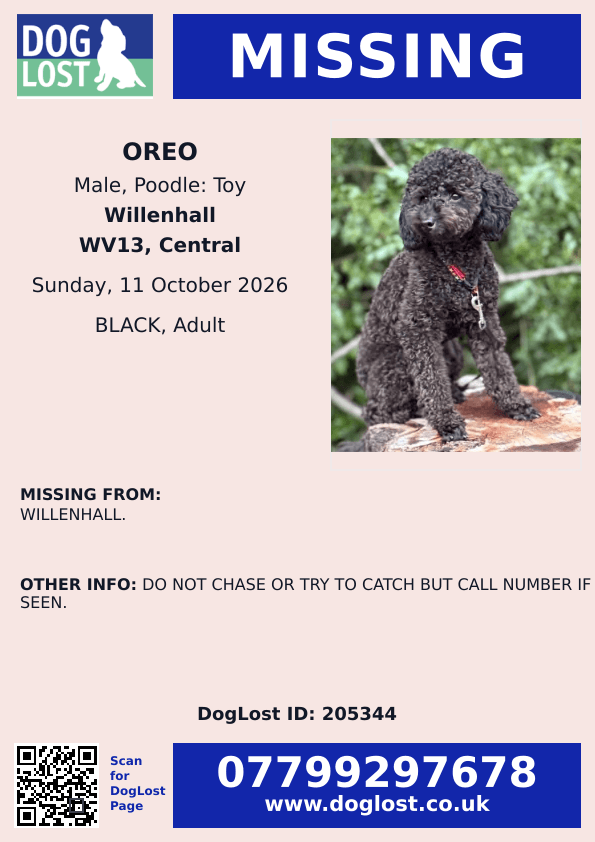 millypod1's tweet photo. 🆘11 OCT 2026 #Lost OREO #ScanMe
Black Poodle: Toy Male
#Willenhall #WestMidlands #WV13
https://t.co/asi5yjntWu https://t.co/Czit1RFiM3