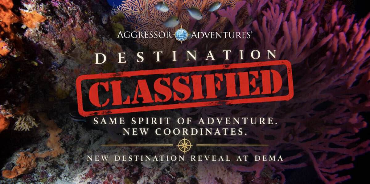 deeperblue's tweet photo. Aggressor Adventures to Announce New Destination at DEMA Show 2026 dlvr.​it/TVw6Rb https://t.co/yZxrzgRMov