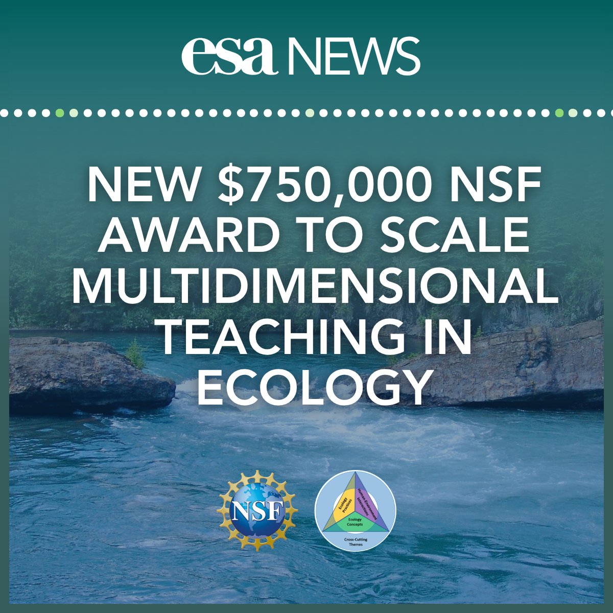 ESA_org's tweet photo. Announcing a new award from the @NSF to support our 4DEE program! 

The new NSF grant will support evidence-based instructional practices and the development of resources with emphasis on integrating two or more dimensions in ecology education.

Read more: https://t.co/QIAxuaCrzf https://t.co/MkYkUcrCQ1