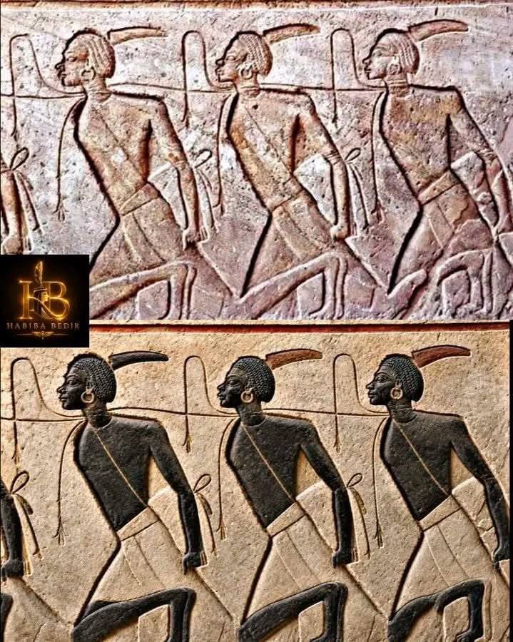 abdelwahab_mona's tweet photo. السوانيين من اقذر الجنسيات ال وطأت ارض مصر الامارحم ربي
واتمني مغادرتهم جميعٱ
واجدادنا رسموهم لنا علي الجدران من ضمن اعداء مصر
هل إتعظنا !؟ https://t.co/3sY76oycsr
