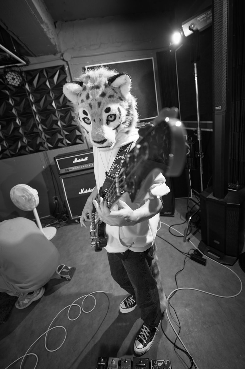 SeolHo_fur's tweet photo. 🎸🐯✨

📸 @guni1636 https://t.co/AwzbZblkGw