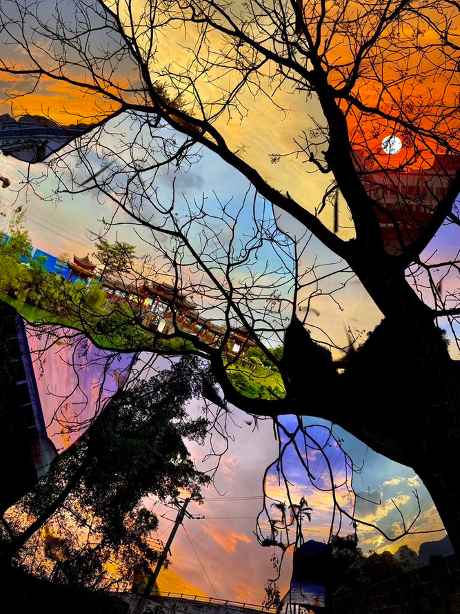 petalesblancs's tweet photo. colours of the sky https://t.co/GzZxg2dI13