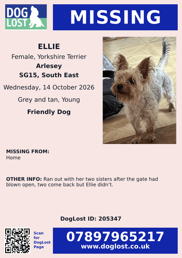 millypod1's tweet photo. 🆘14 OCT 2026 #Lost Ellie #ScanMe
YOUNG Yorkshire Terrier Female #PUPPY
#Arlesey #Bedfordshire #SG15
https://t.co/z7SoPYtNPG https://t.co/GtyG0rheYw