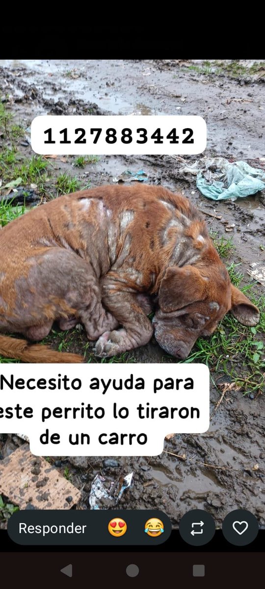 patripeyrou's tweet photo. Difundimos https://t.co/FwUdd3fADf