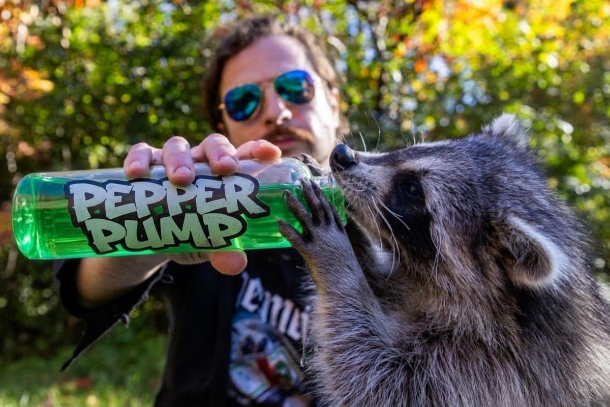 TheDeluWolf's tweet photo. @MaggotX66 $Pepper movement is about to begin https://t.co/2VcHbMPCZm