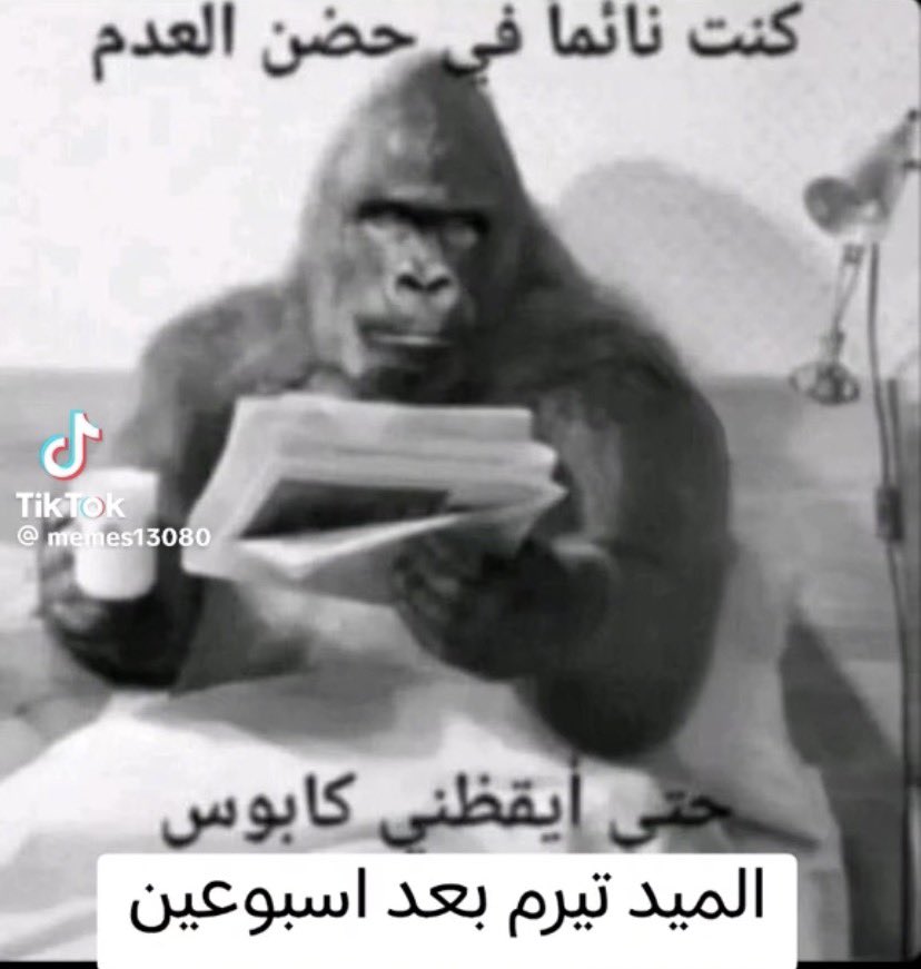 ba7bfayrouz's tweet photo. https://t.co/ihJKZa994w