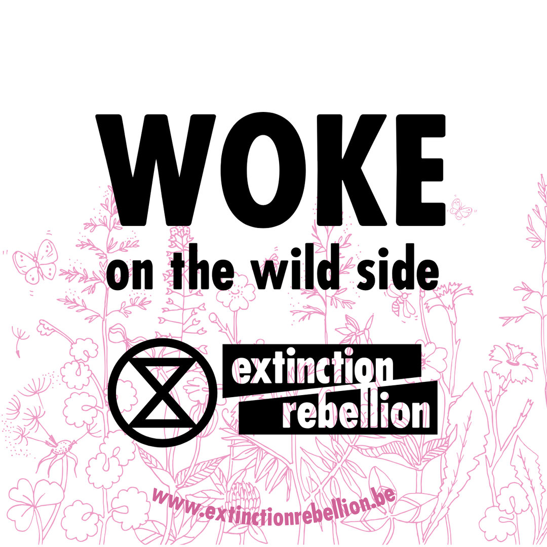 rolmou's tweet photo. #Woke on the wild side https://t.co/qSdvivxsAU