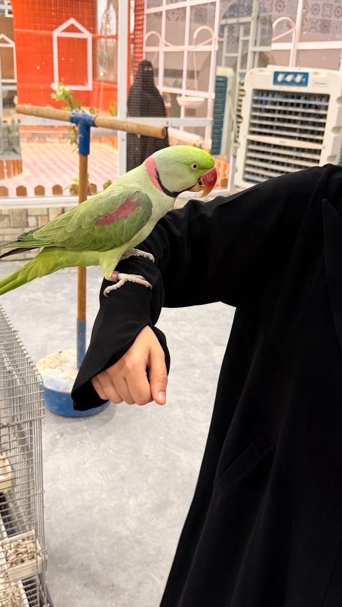nsalmarii's tweet photo. عشوائيات اليوم🧚🏻‍♀️💞 https://t.co/RYtguAye4Q