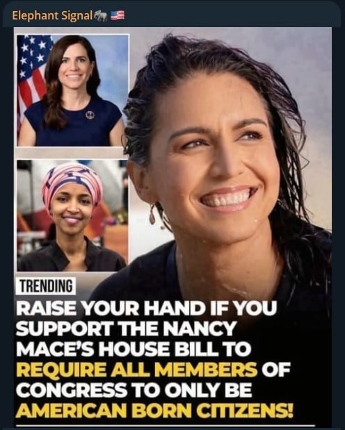 Katie_Z1's tweet photo. 🚨 LEGISLATIVE PUSH:

Do you support requiring all members of Congress to be American-born citizens?

YES or NO? 👇 https://t.co/g84tHIqqHU