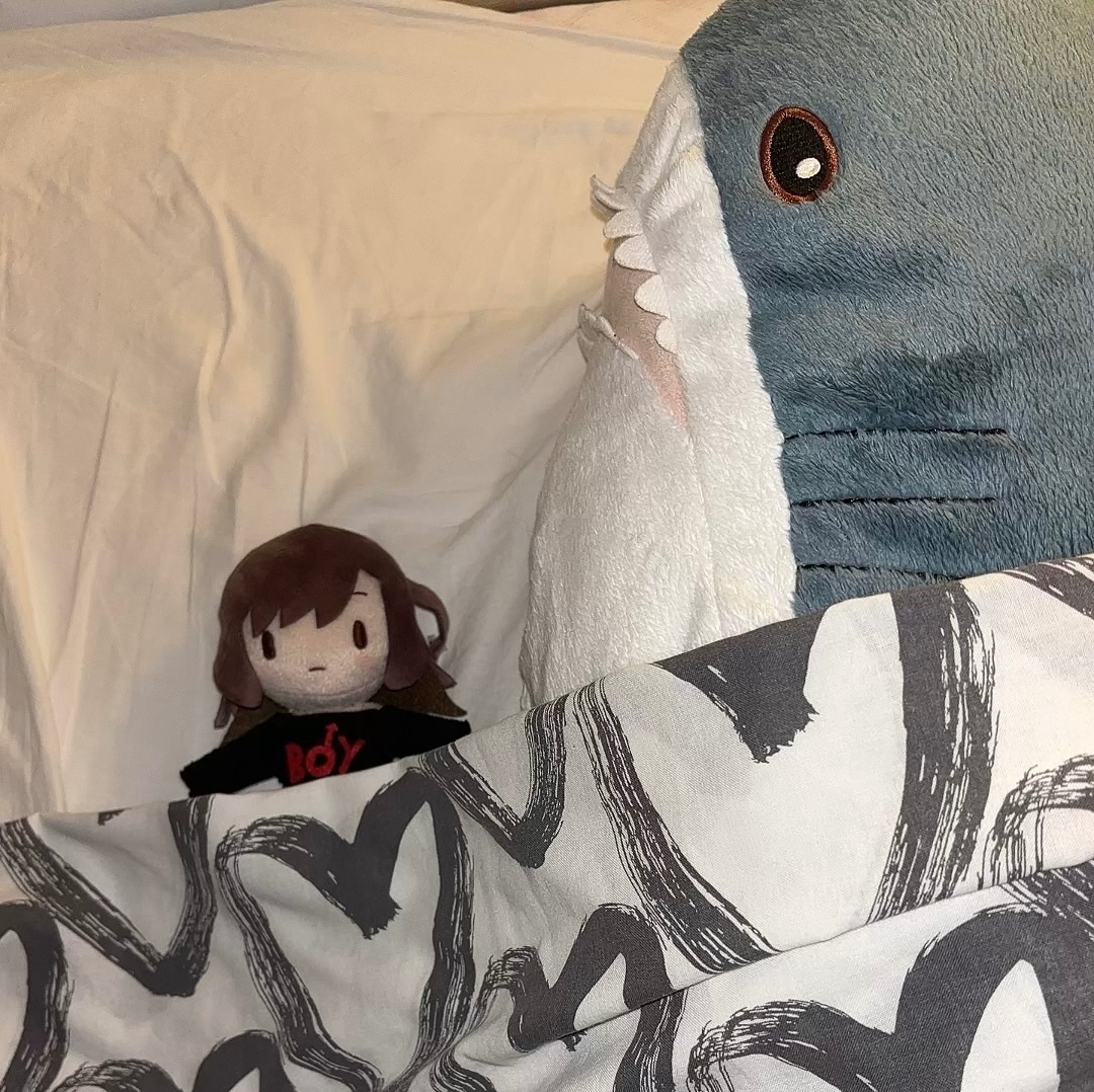 basedchaser17's tweet photo. Sorry for being mean to boymoder, now she’s tucked into bed for a good nights sleep https://t.co/uGWYjhqbNz