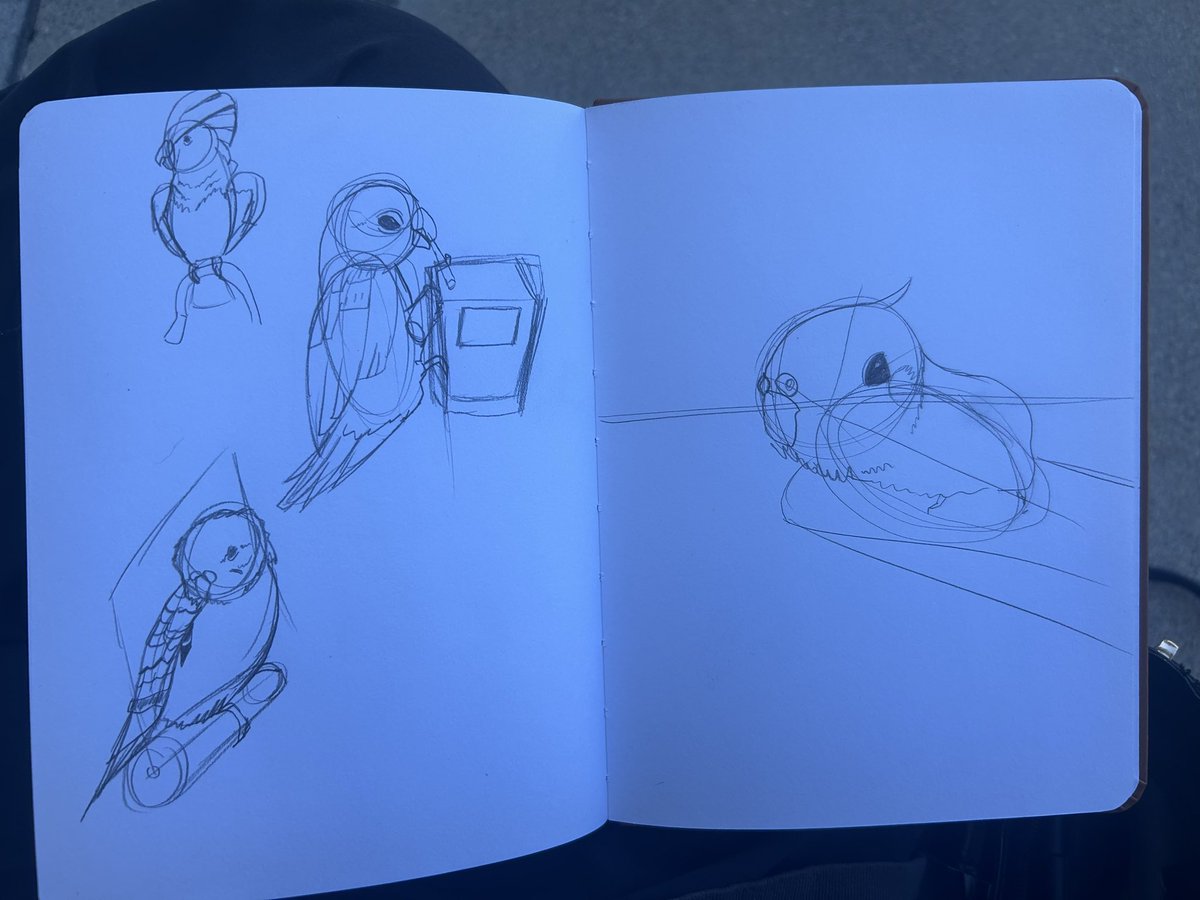 ShiroKuroh_'s tweet photo. Some bird sketches, oomfs try and guess what types of birds they are :3 tho one might be kinda hard lol https://t.co/yK6wfLfw4S