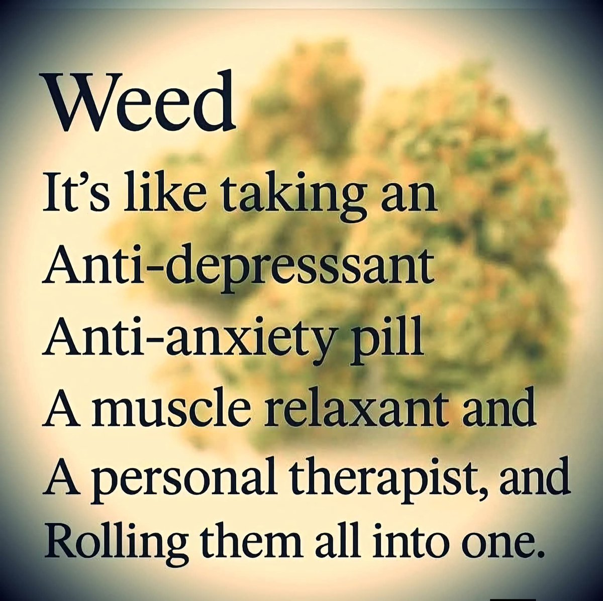 generation_420 tweet picture