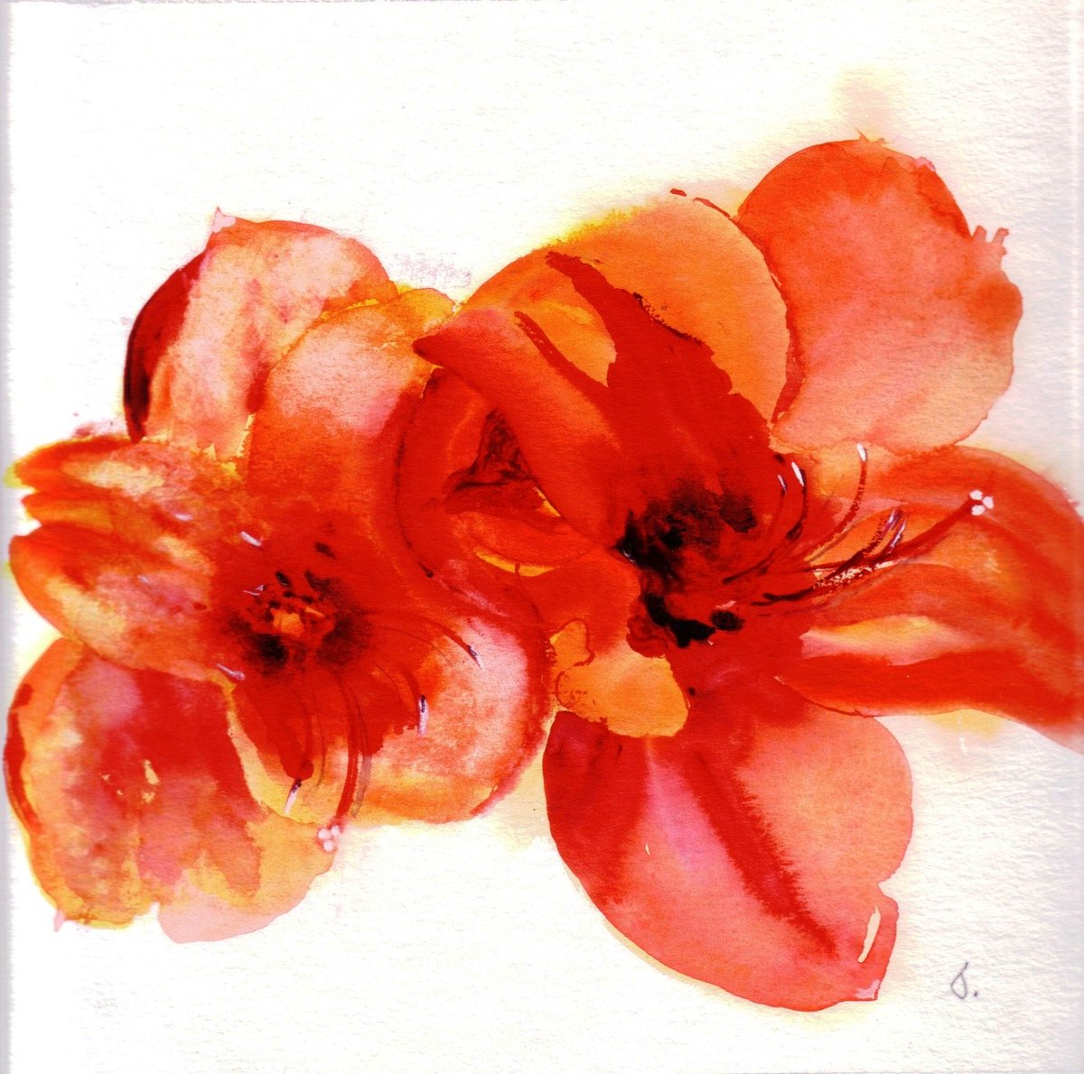 MormorJan's tweet photo. Amaryllis, an exotic flower, much loved at Christmas time
https://t.co/dZQvelIbhT
#handmadecards #watercolour #MHHSBD #SMILEtt23 #etsyuk #Christmas2026 https://t.co/BVMD2QZPxD