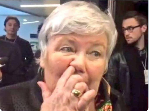 mrsclovisse's tweet photo. jacqueline gourault recasée au  conseil constit, ex prof histoire géo !!! #cnews #hdespros https://t.co/LZVABh8DfI