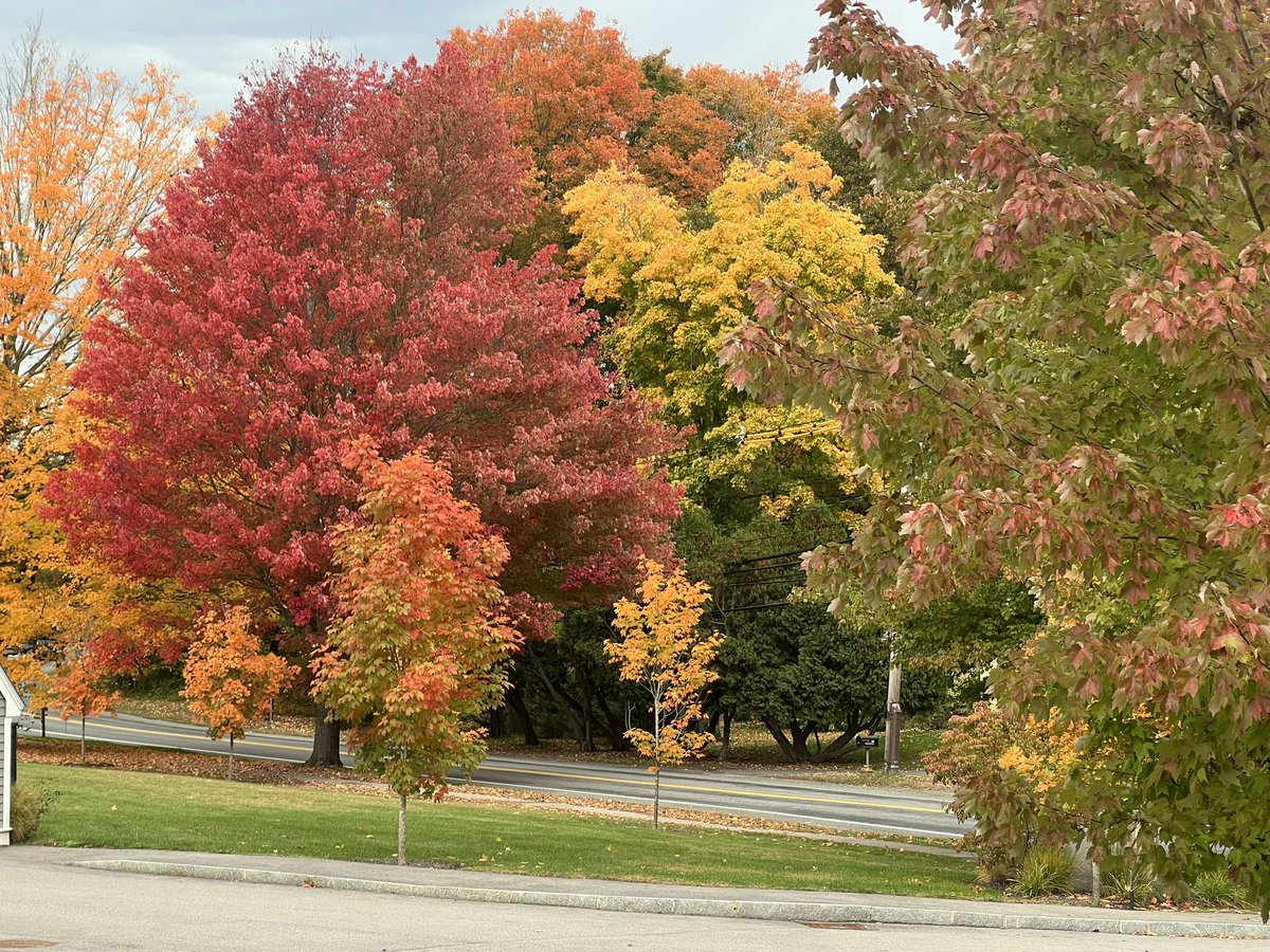 LawrenceLepard's tweet photo. New England’s best season. https://t.co/ayYZKRTLh1
