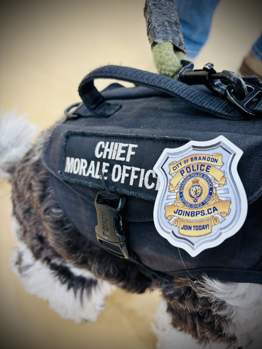 BrandonPolice's tweet photo. 🐾💙 Bandit says JoinBPS — it’ll be paws-itively wonderful! 
We’ve got a special four-legged recruitment assistant at today’s career fair in Shilo! Meet Bandit, our booth neighbour, Morale Officer &amp; proud representative of Paws 4 Valour, who’s helping us spread the word of BPS. https://t.co/6LPgvS6s5Y
