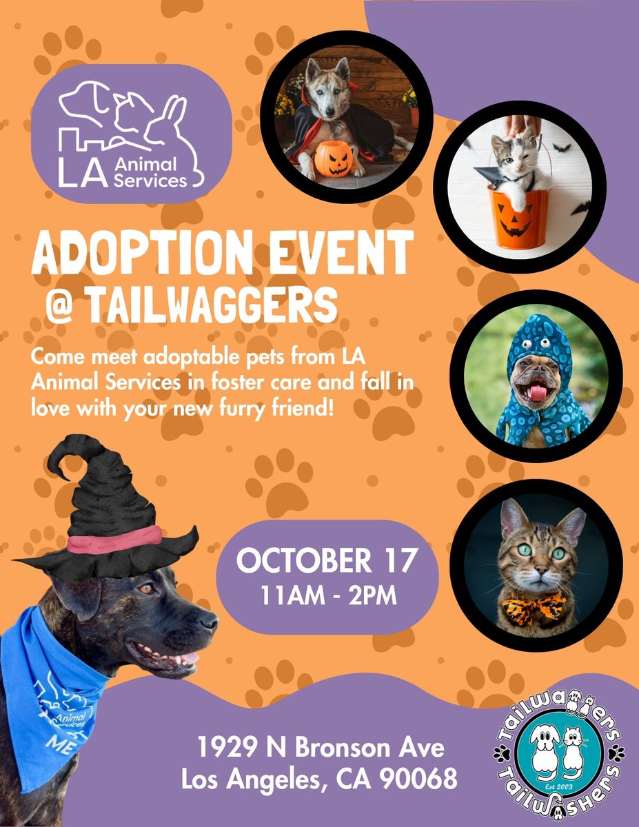 LACityPets's tweet photo. Join us on Saturday, October 17, 2026, from 11 AM to 2 PM for a Tailwaggers adoption event in Los Angeles! See you there! #LACityPets #Adopt #Foster #LosAngeles https://t.co/noiUswMZn2