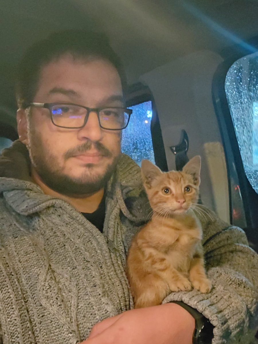 caglauren's tweet photo. Sevgili eşim Erkin seller arasında şöyle bi şey bulmuş, kendi gelip sığınıyor kimsesiz 😭 bu akşamlık aldık ama biliyorsunuz bizim köpeğimiz var be hayatta en korktuğu şey de kedi :) sahiplenmeyi düşünen olursa haber verin 🙏 çok küçük ve sevecen https://t.co/JPKFxeaga5