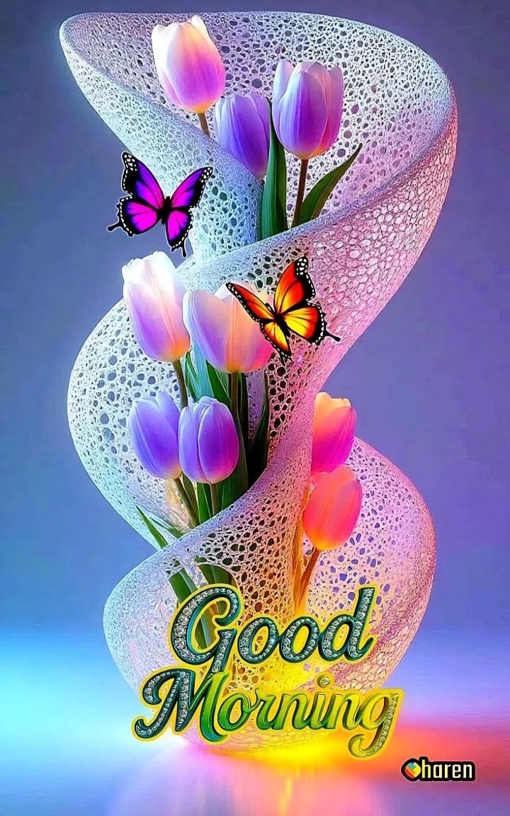 ChamsFaisa64415's tweet photo. @HerJasmine46168 https://t.co/IZOi3S8bBW