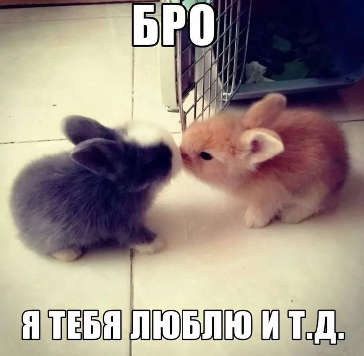 ovsaniaxd's tweet photo. @ryta_Dakota скорейшего тебе выздоровления и спокойной ночки <3 https://t.co/uROp0Ok2R1