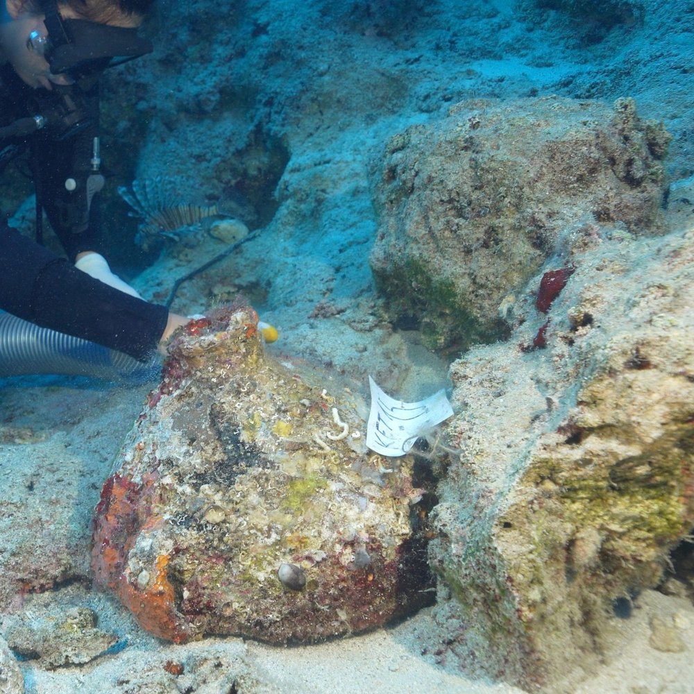 interesting_aIl's tweet photo. This shipwreck off Turkey may date back to the age when Egypt’s Great Pyramid was being built

The vessel’s wooden hull is gone, but its cargo survived underwater for nearly 5,000 years, offering a rare glimpse into early Mediterranean trade https://t.co/gwwlh1lsar