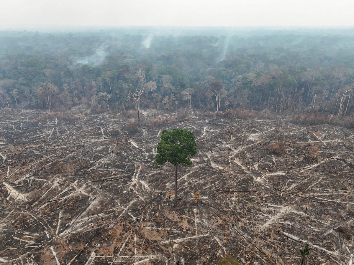 nickofnz's tweet photo. It's become painfully clear that structuring our entire society around maximising profit instead of planetary health was a very bad idea. https://t.co/wIEFS7EvBs