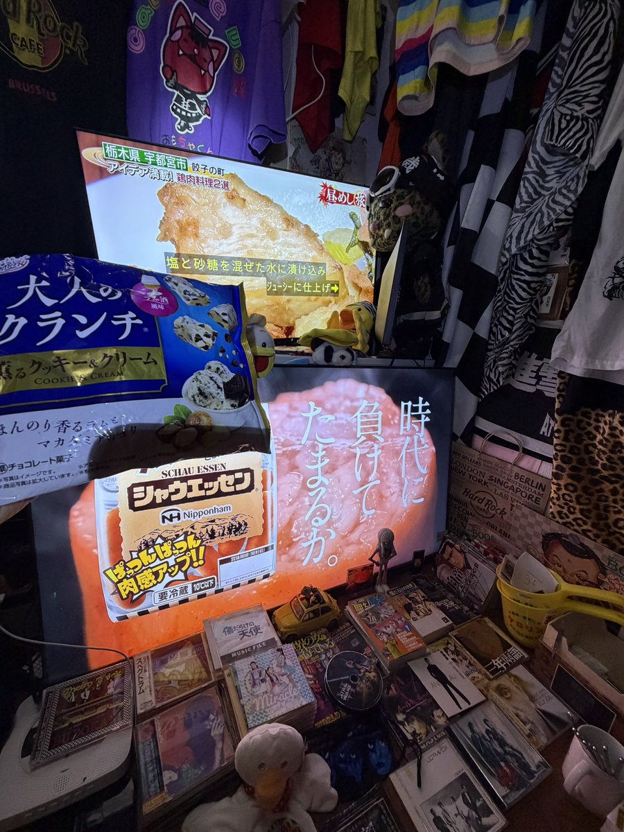 NuiKatsuTV's tweet photo. #傷だらけのぬい活帝王
#ぬい活ジャパン
#ぬい活TV
#CatjukevoxOmochakun
#傷だらけのぬい活帝王神田ホイ
#NuiKatsuJapan https://t.co/me9lHkXzI8