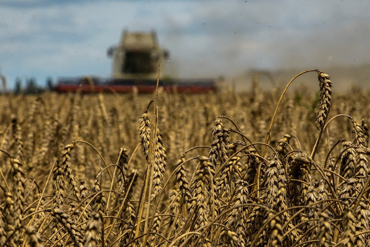RussianEmbassy's tweet photo. 💬 Maria Zakharova: Up to 70% of Ukrainian agricultural produce goes to the EU and other Western markets.

Bear this in mind when Western politicians claim that the fate of the world’s poorest nations depends on Ukrainian agricultural exports.

https://t.co/qRSYxIokFR https://t.co/14IMf93xMy
