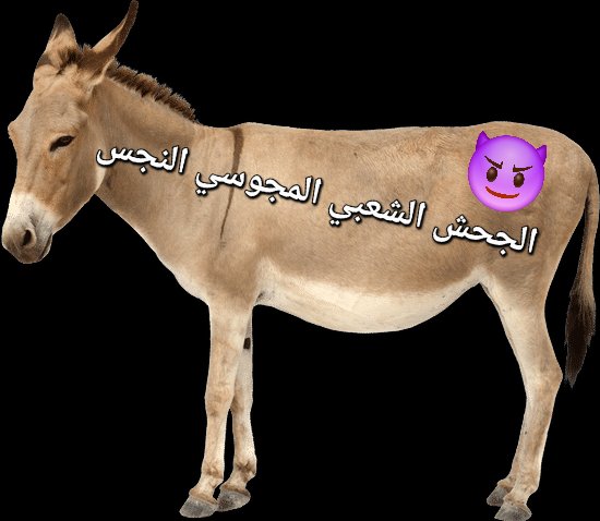 IKNK2021's tweet photo. @AliAaaa281372 يكرم الحمار من حميرتكم يا بهائم 😂😆🤣 https://t.co/iViz4As0dB