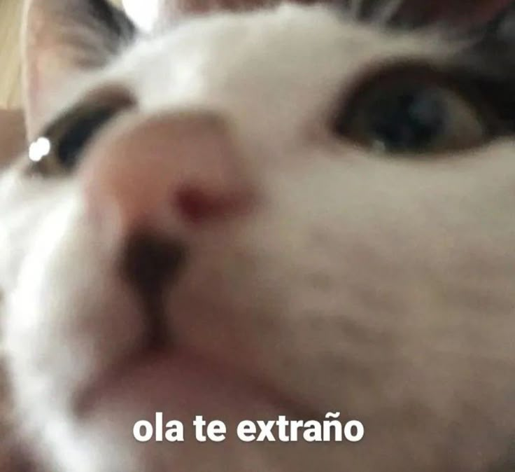 KRUesports's tweet photo. @ server de santiago https://t.co/J46biIh4Y0