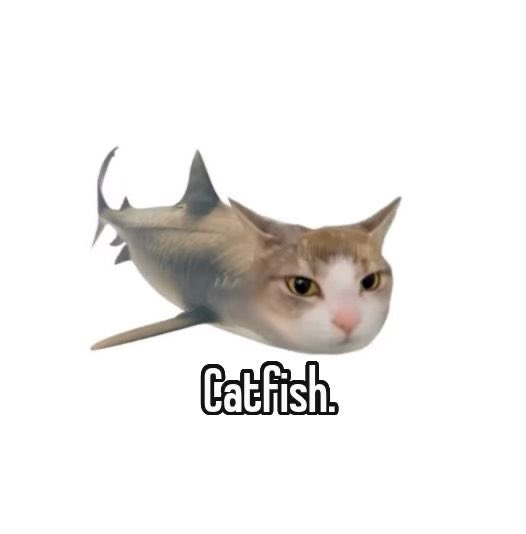 foshymbin's tweet photo. @foshyningning Ningning Purworejo kenalan sama Wombin catfish https://t.co/bWzDNHN7Ex