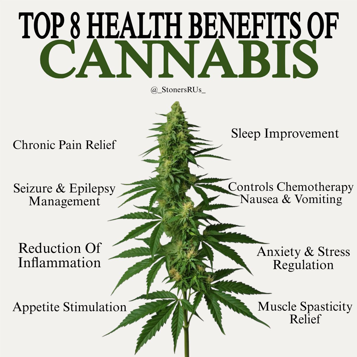 _StonersRUs_ tweet picture
