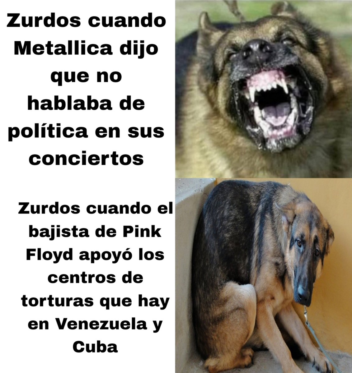 nacional_memes's tweet photo. Jajajajajajaja  🐺 https://t.co/pKAz0ayqWj