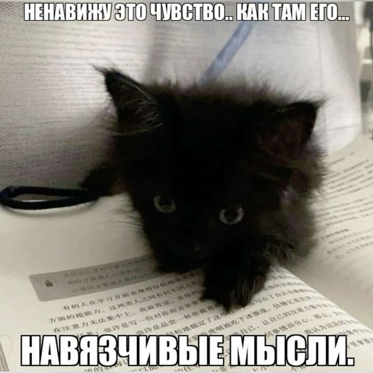 Lisamuer's tweet photo. @touchmyhand__ https://t.co/veEsnwmoed