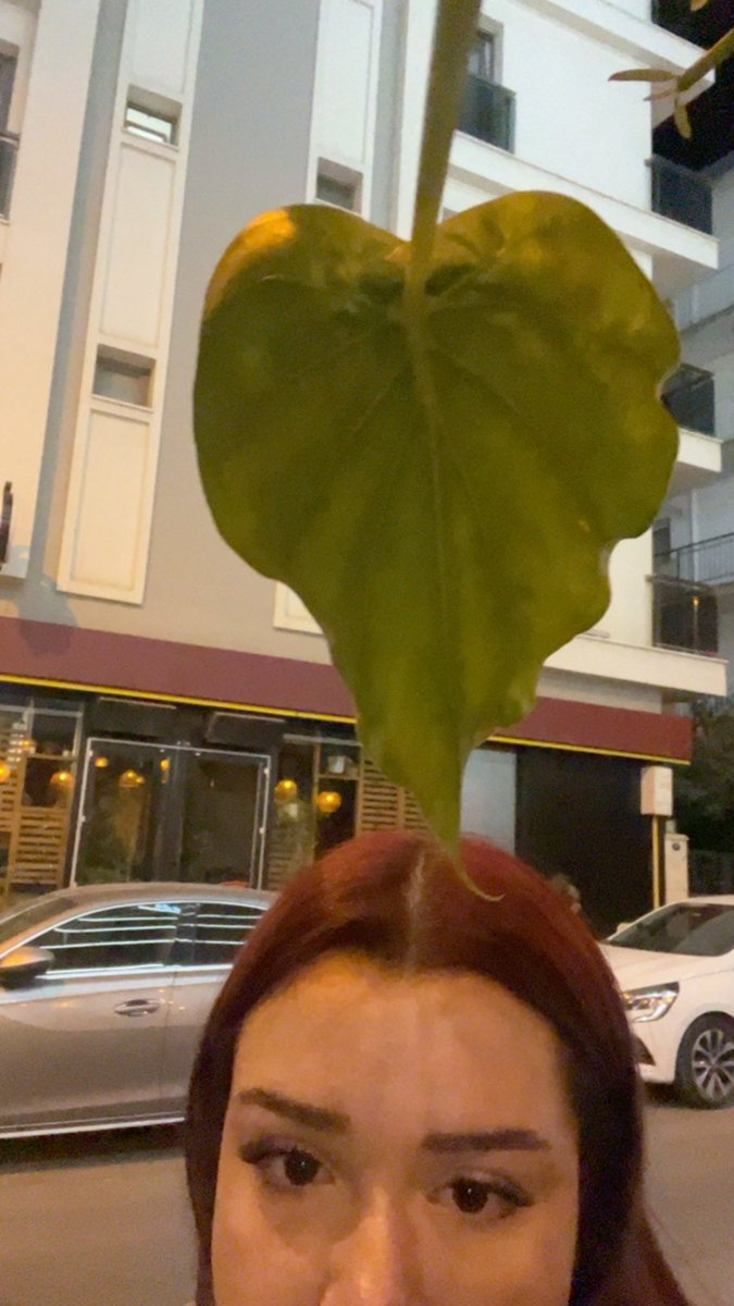 hheelinsu's tweet photo. 💚 https://t.co/KZd07e6aQZ