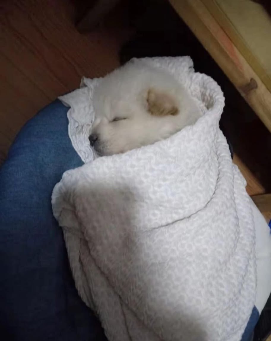 twaniimals's tweet photo. https://t.co/4tptAQZnzK