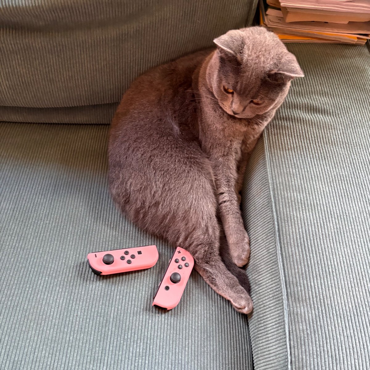 dumbkleo's tweet photo. i like cute 💕💕🌈🌈 things https://t.co/m3mjMUFvu8