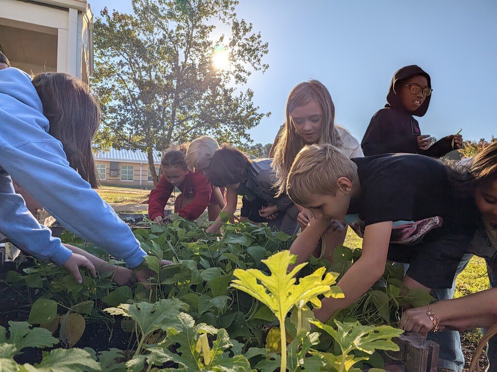 LewisvilleElem1's tweet photo. Ms Brown and Mrs Pakozdy's students harvested yellow squash and green beans from the school garden yesterday. There are more blooms, so we should be able to harvest more before the weather gets too cool. https://t.co/fcQQvFfZ3F