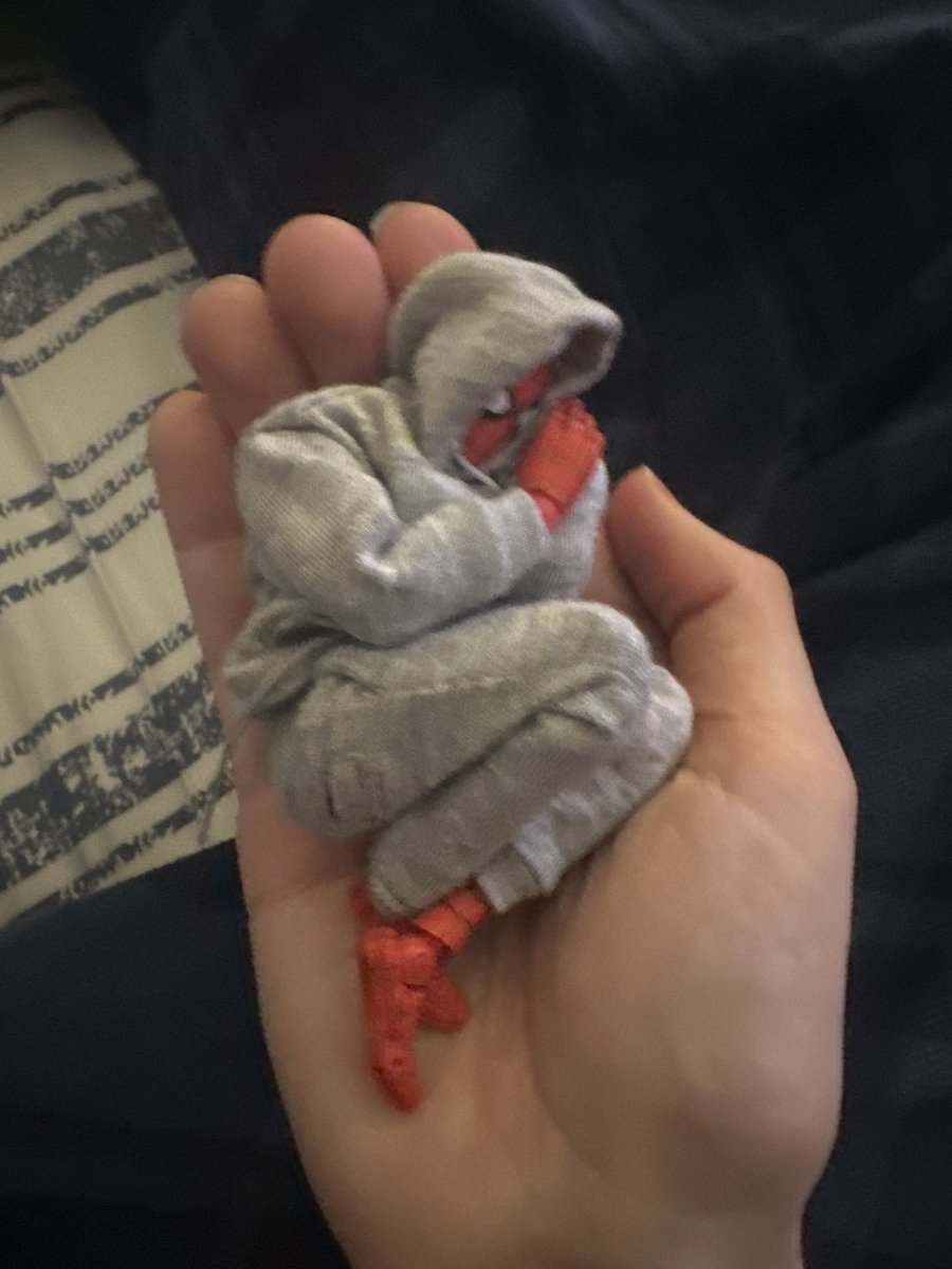 peberthreee's tweet photo. more pics of the little creature https://t.co/dfxlVqxevg