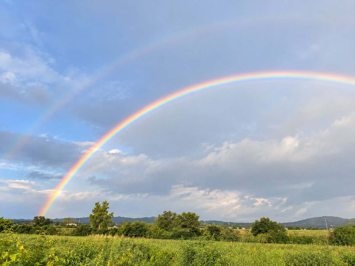 bodeure_'s tweet photo. 이 무지개를 본 모두에게 좋은 일이 생기기를 🌈 https://t.co/TPnoKc1YzR