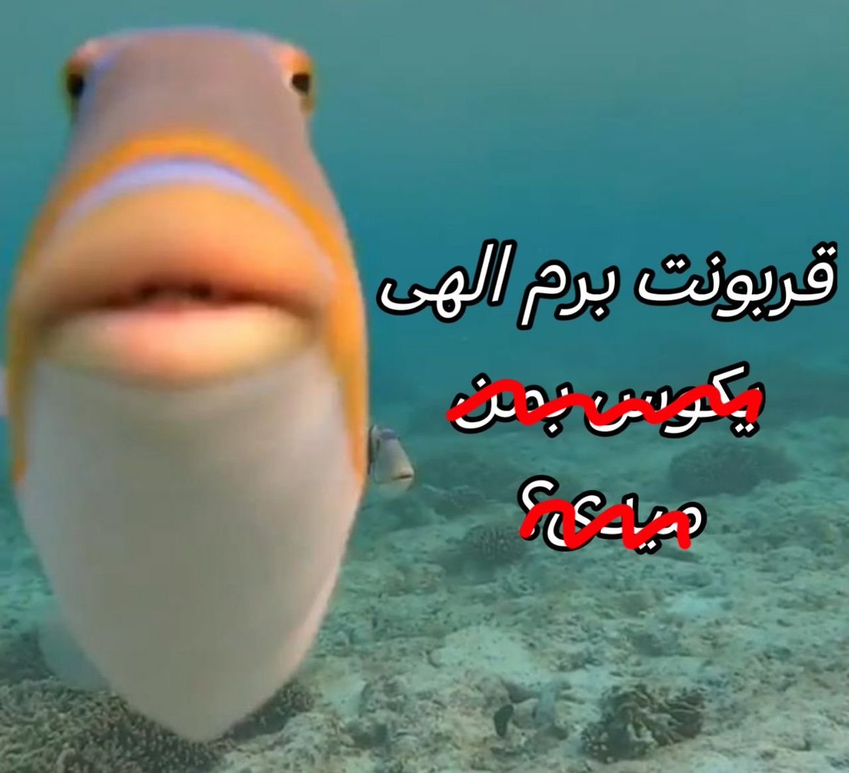 _atse_achoo's tweet photo. @Styyrenee اصلا دگرگونم کردی، پرونده‌ات پیش من میمونه بیب https://t.co/UpaqjuHSfI