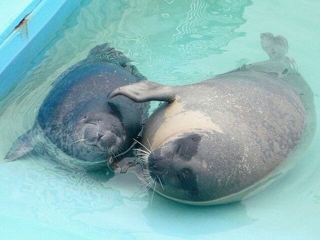 whimsyoomf's tweet photo. we should be like yo and tsuki and hug things out https://t.co/MZdCVNTS0m