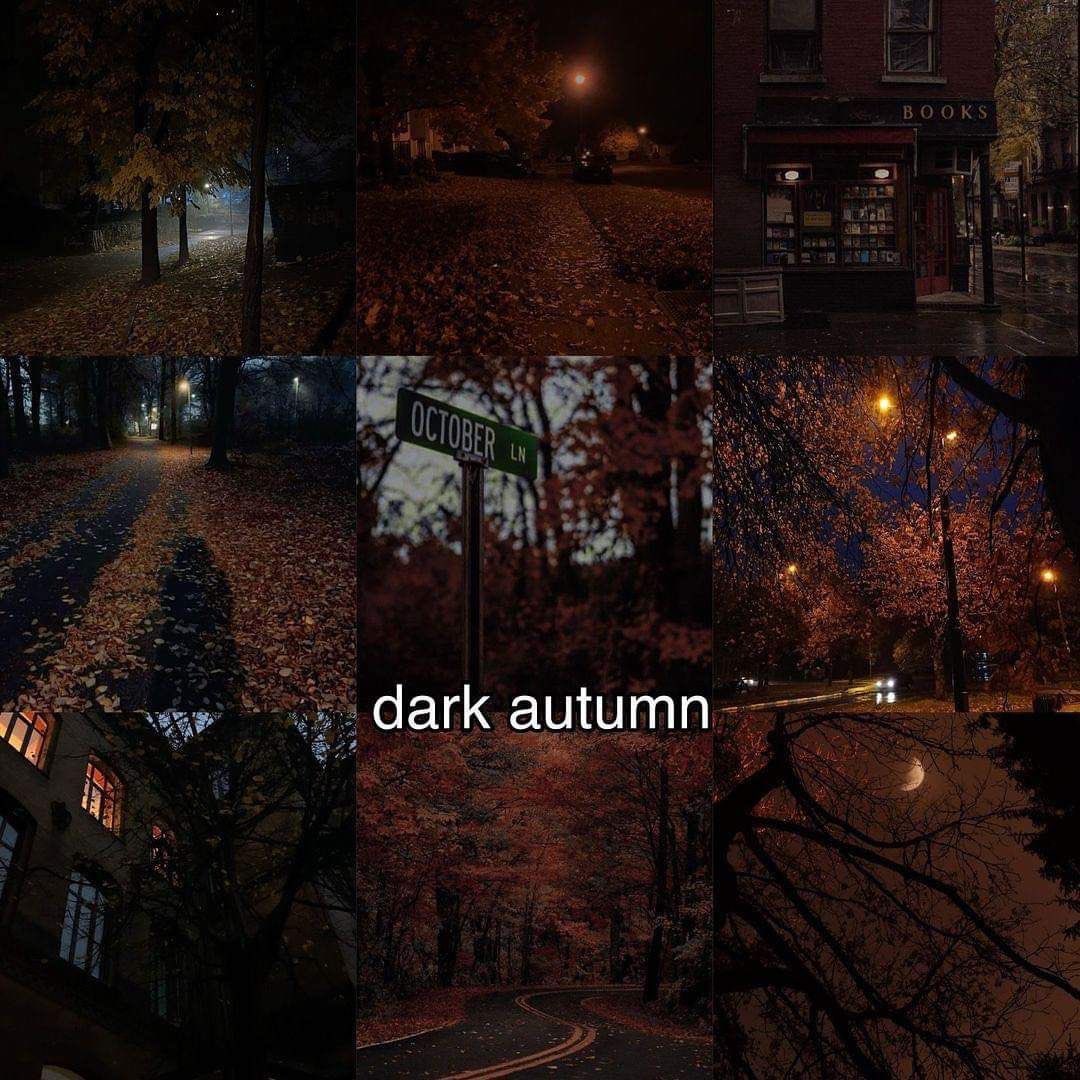thespookygirll's tweet photo. vibes https://t.co/dEApNIIq8Q