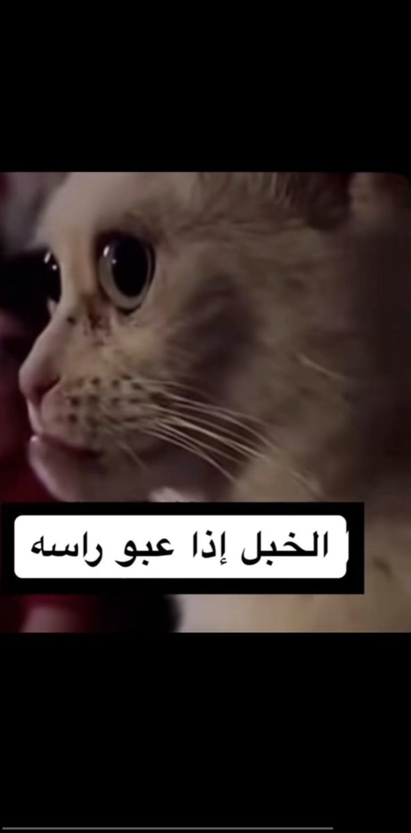 erllop0's tweet photo. حنا بعد الماده 34 https://t.co/WibFero74o